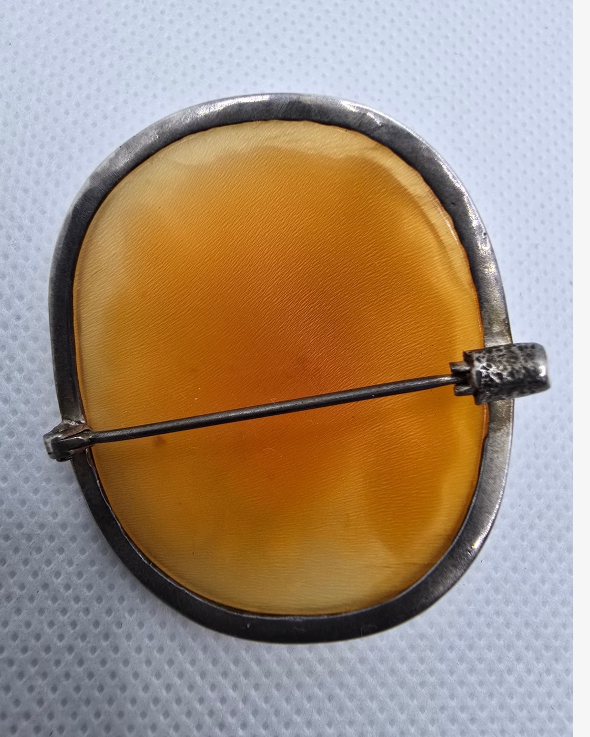 The Lion — reverse showing the golden-orange natural sea shell and the handmade silver brooch setting with pin mechanism