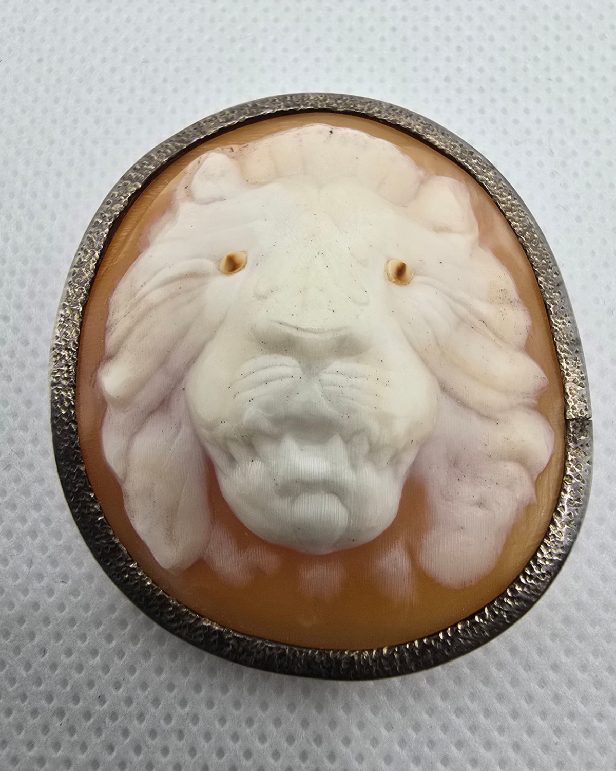 The Lion — hand-carved sea shell cameo of a lion’s head in raised pale relief against warm peach and amber shell, in a textured handmade silver frame
